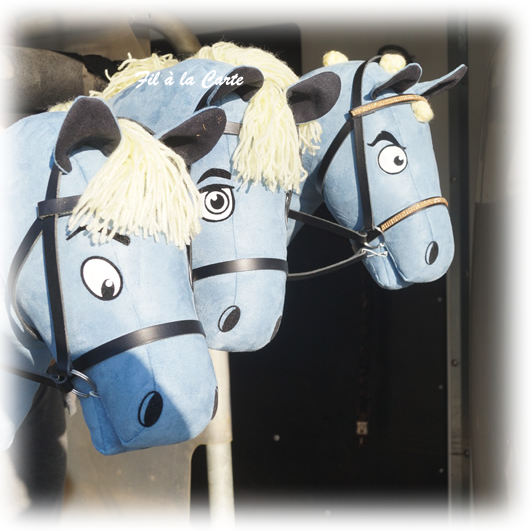 Poneys bleu