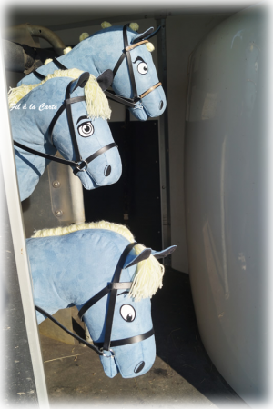 Poneys bleu2 Poneys bleu2