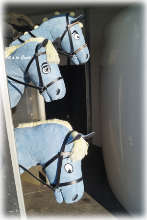 Poneys bleu2