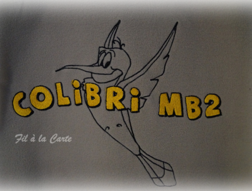 Colibri-polaire4